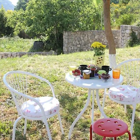 The Fig House Apartment Rozat